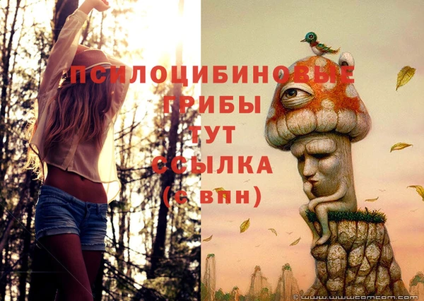 мескалин Приозерск