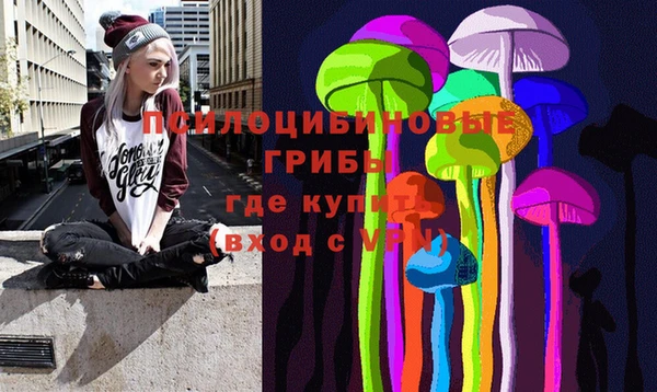spice Пролетарск