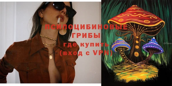 герыч Протвино